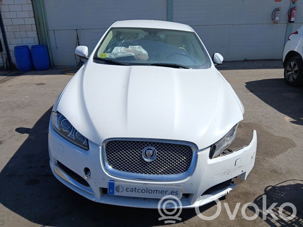 XF X250 XF  DX232C405BF