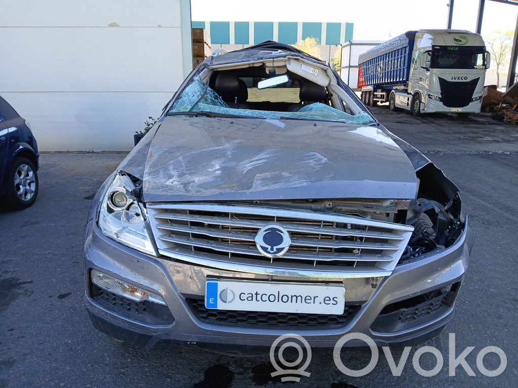 Rexton Rexton  4894031000