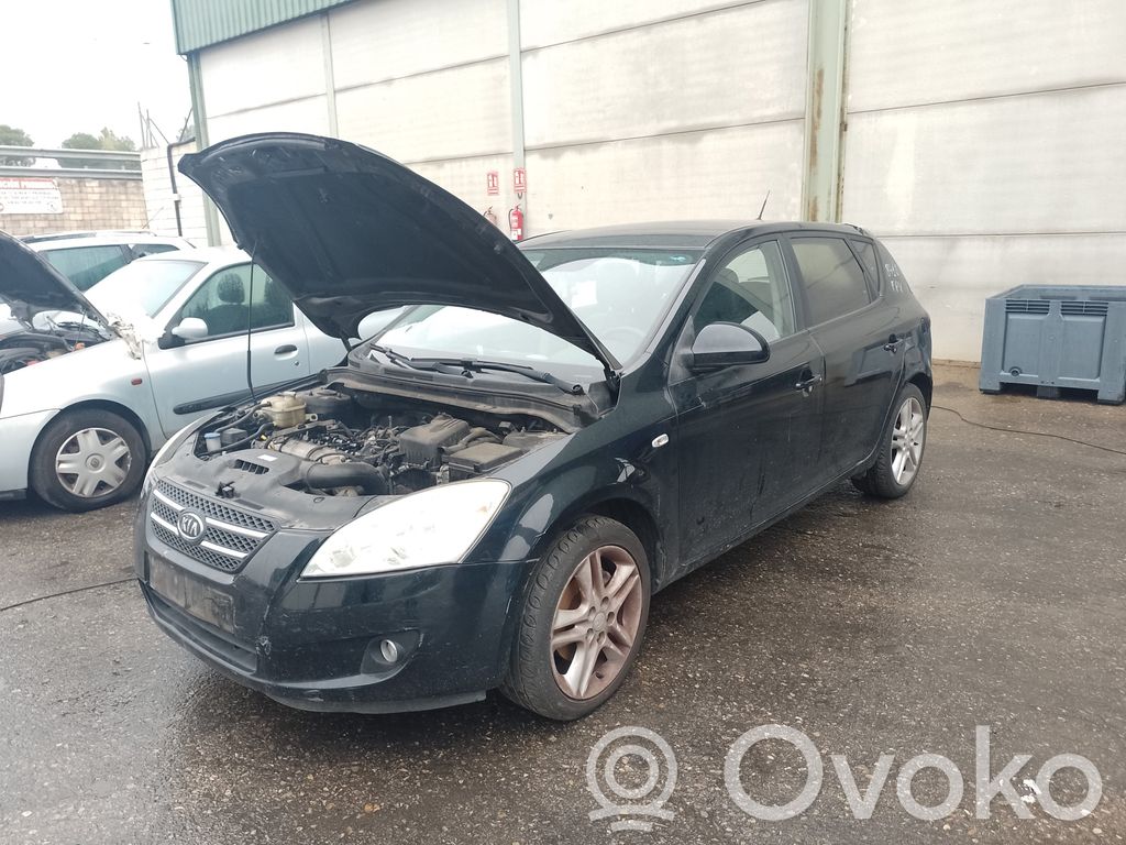 Ceed Ceed, Ceed SW, Pro Ceed  284102A120