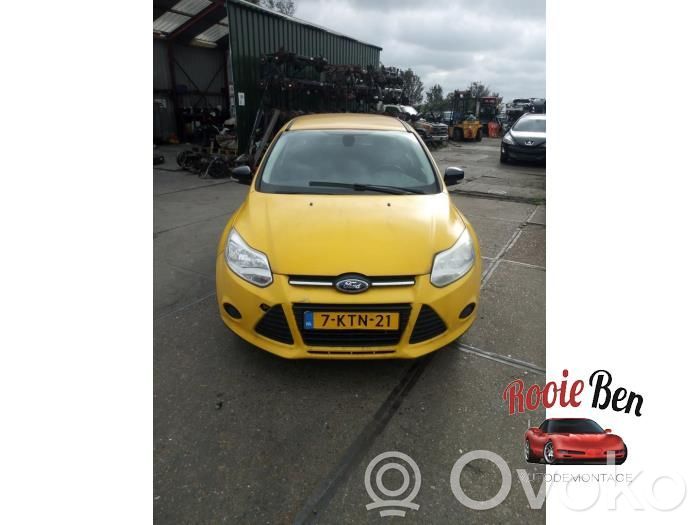 Focus Focus  2120913