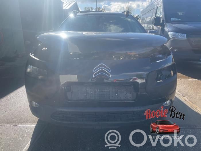 C4 Cactus C4 Picasso, Grand Picasso, Aircross, Cactus  96673722