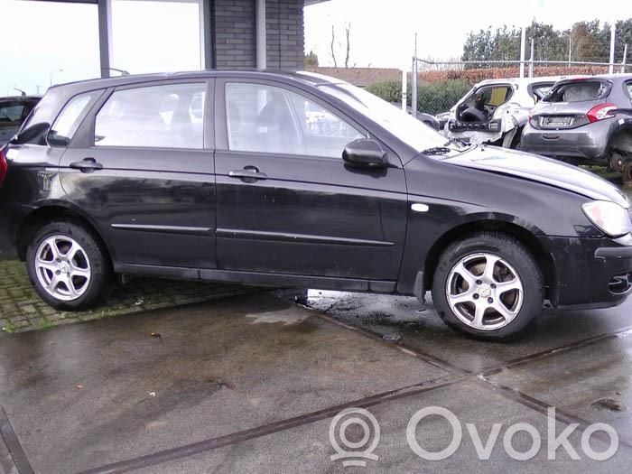 Cerato Cerato  3517022600