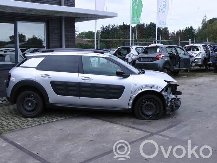 C4 Cactus C4 Picasso, Grand Picasso, Aircross, Cactus  9807238580