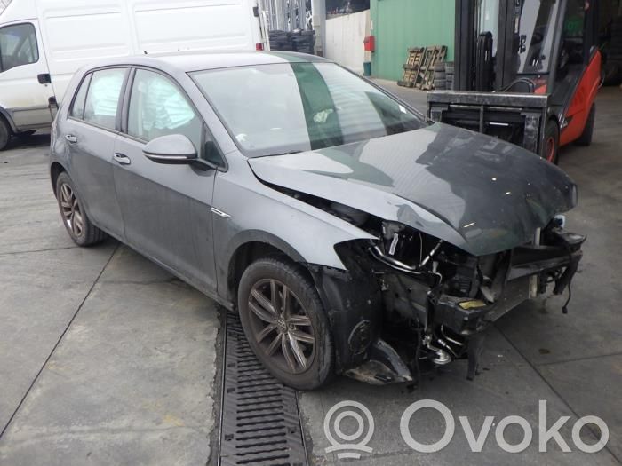 Golf VII Golf  5Q0512013HG