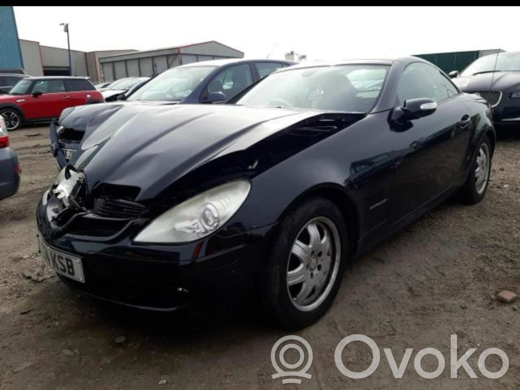 SLK R171 SLK-class, AMG (W170, W171, W172)  A1718203461