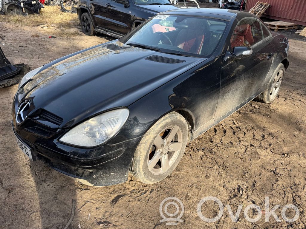 SLK R171 SLK-class, AMG (W170, W171, W172)  P27238