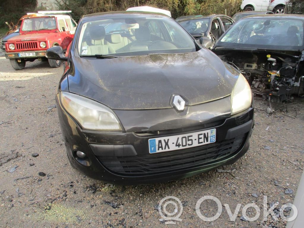 Megane III Megane  231007281R