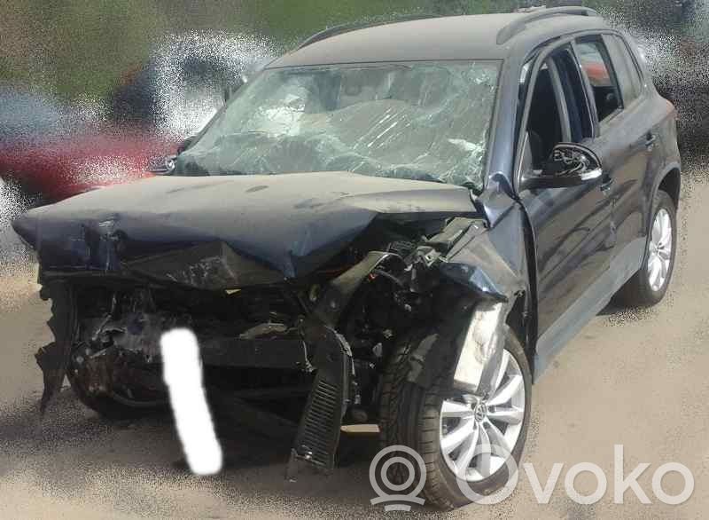 Tiguan Tiguan