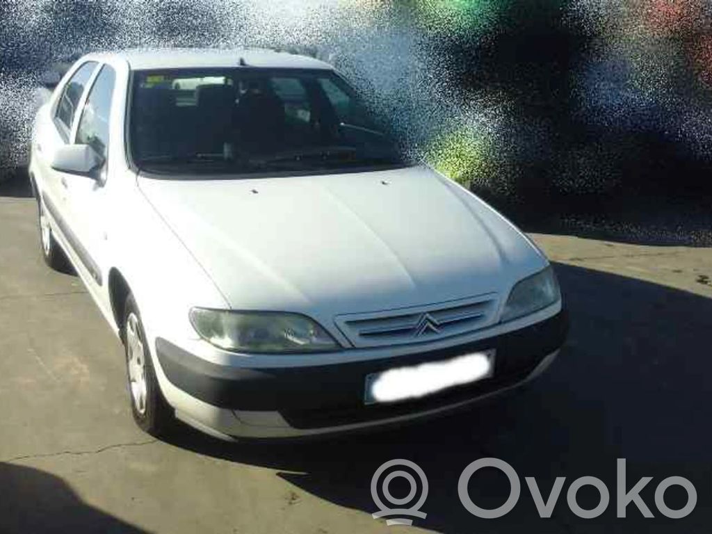 Xsara Xsara, Xsara Picasso