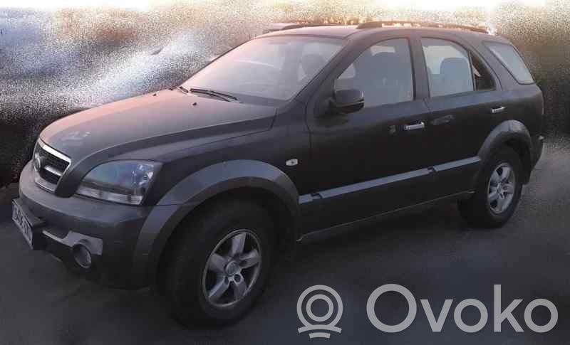 Sorento Sorento  491003E300