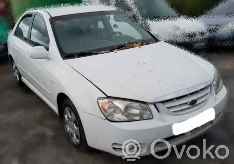 Cerato Cerato