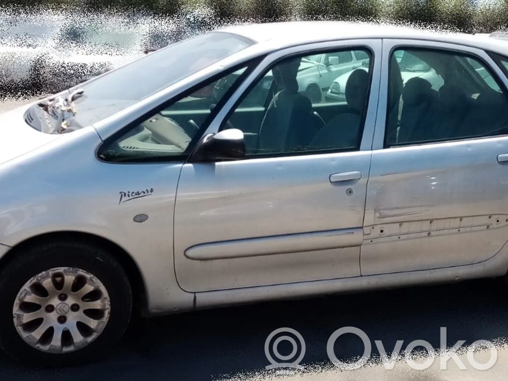 Xsara Xsara, Xsara Picasso