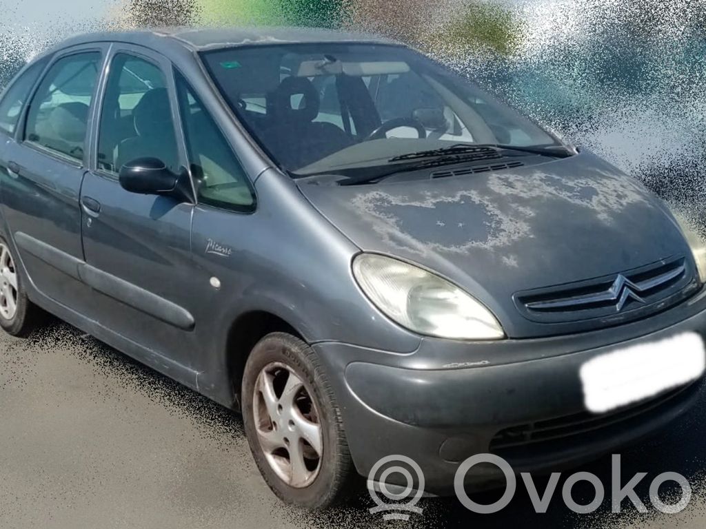 Xsara Xsara, Xsara Picasso