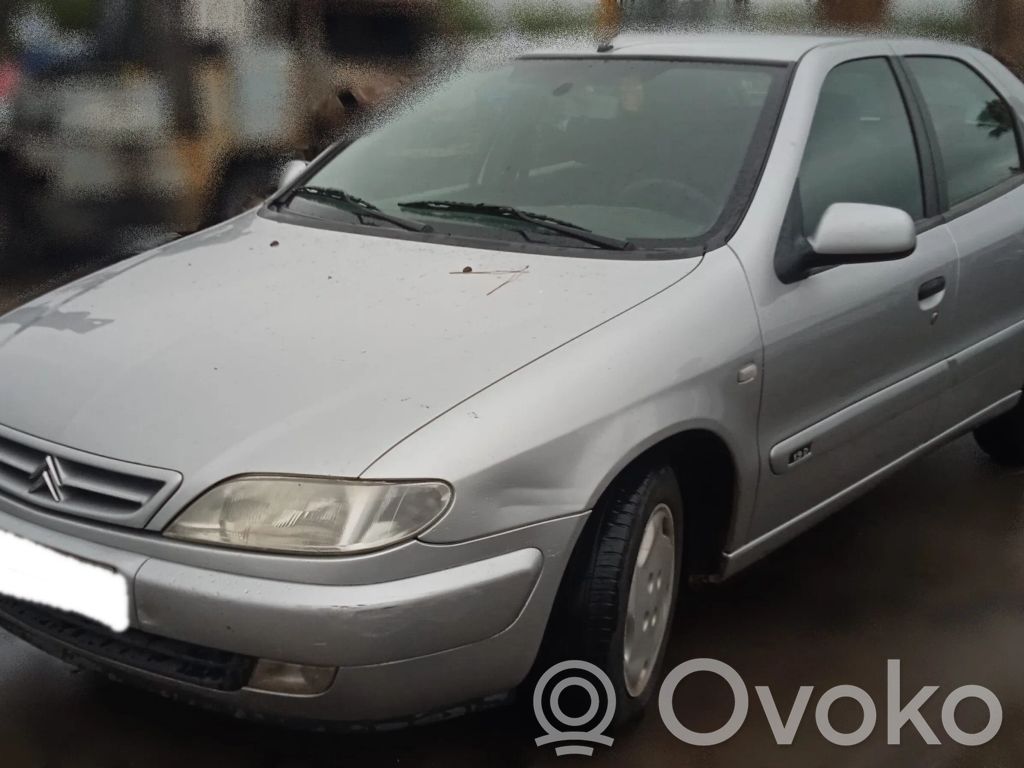 Xsara Xsara, Xsara Picasso