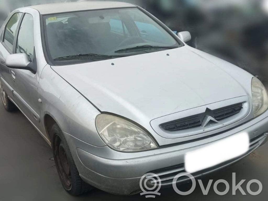 Xsara Xsara, Xsara Picasso