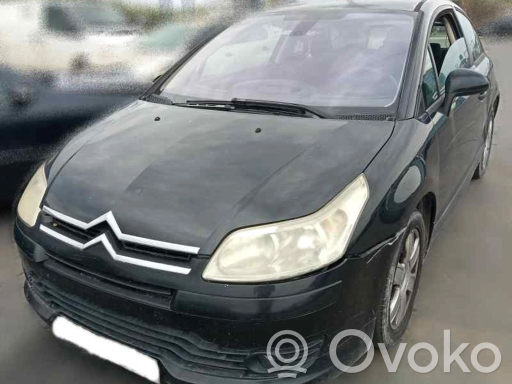 C4 I C4 Picasso, Grand Picasso, Aircross, Cactus  9647173880F