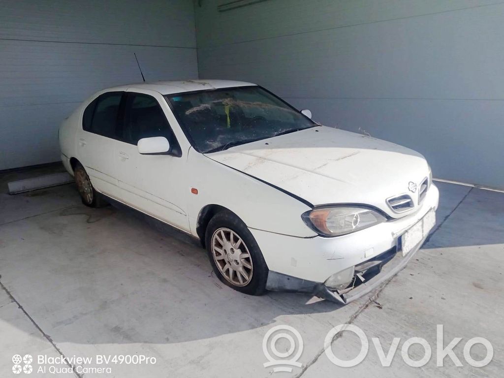 Primera Primera  248109F516