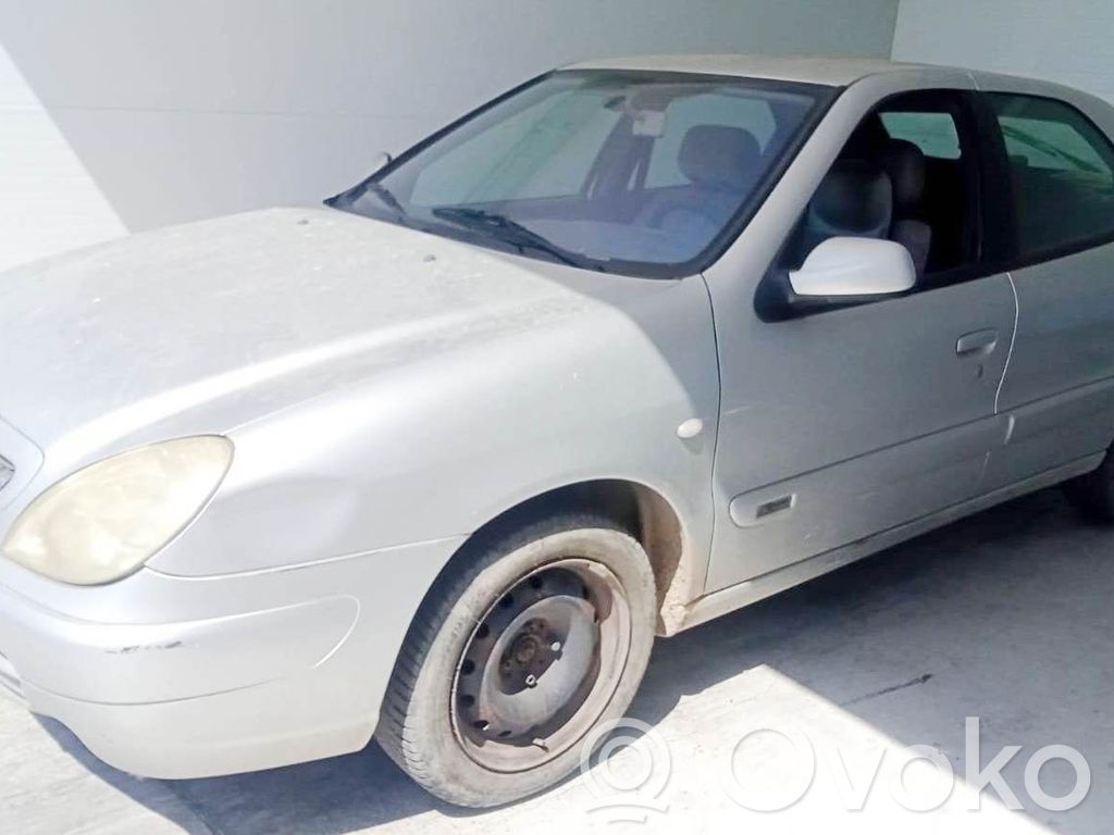 Xsara Xsara, Xsara Picasso