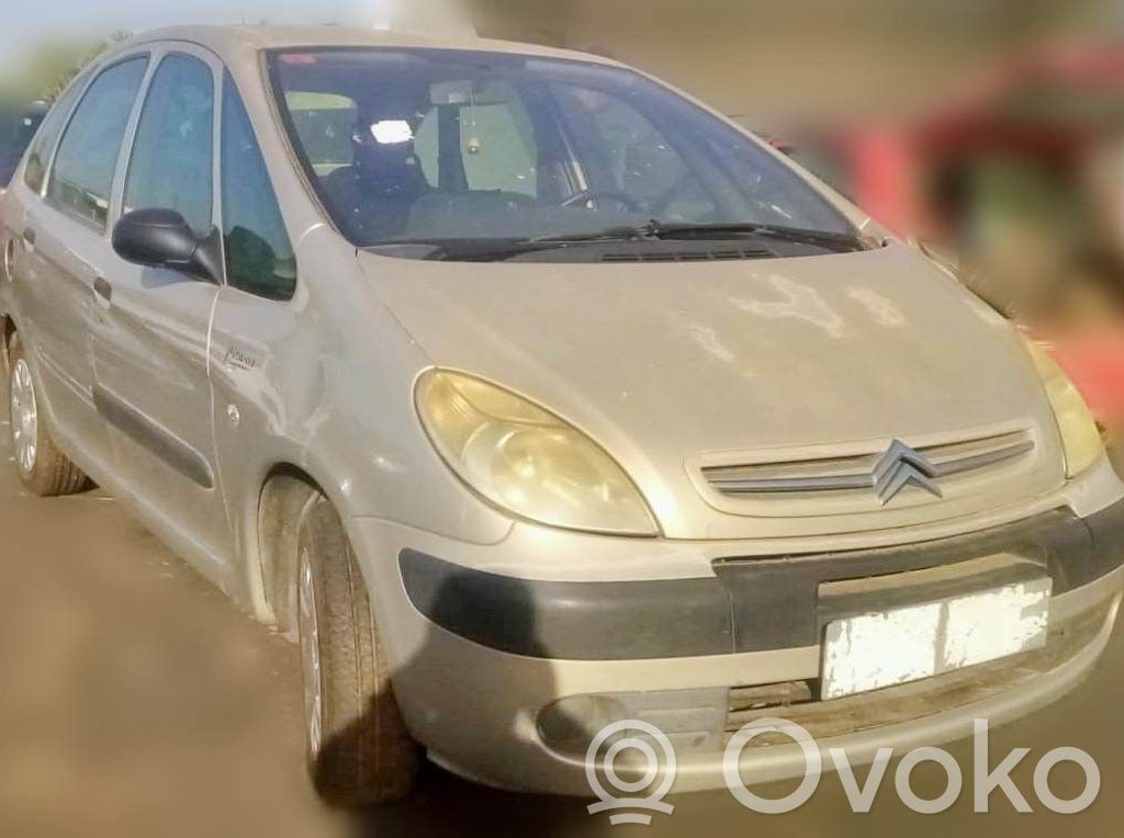Xsara Xsara, Xsara Picasso