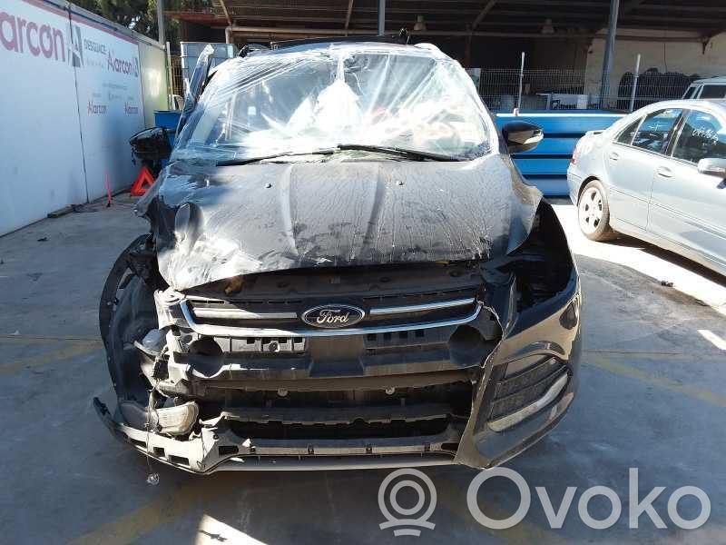 Kuga II Kuga  1788588