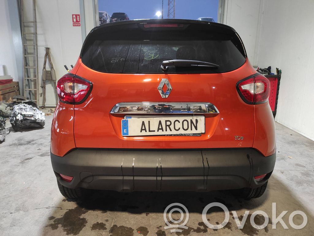 Captur Captur  254113300R