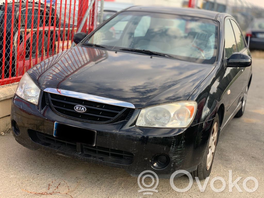 Cerato Cerato  4813AA