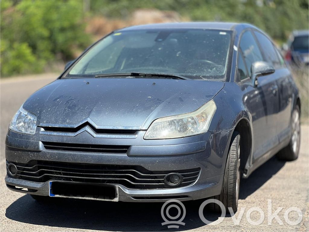 C4 I C4 Picasso, Grand Picasso, Aircross, Cactus  7841S2