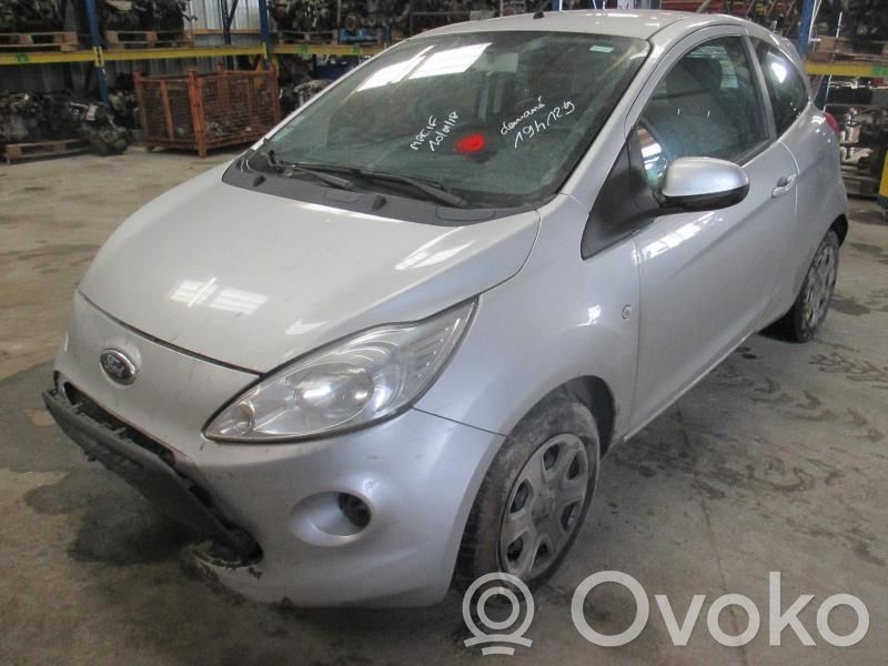 Ka Ka  1885666