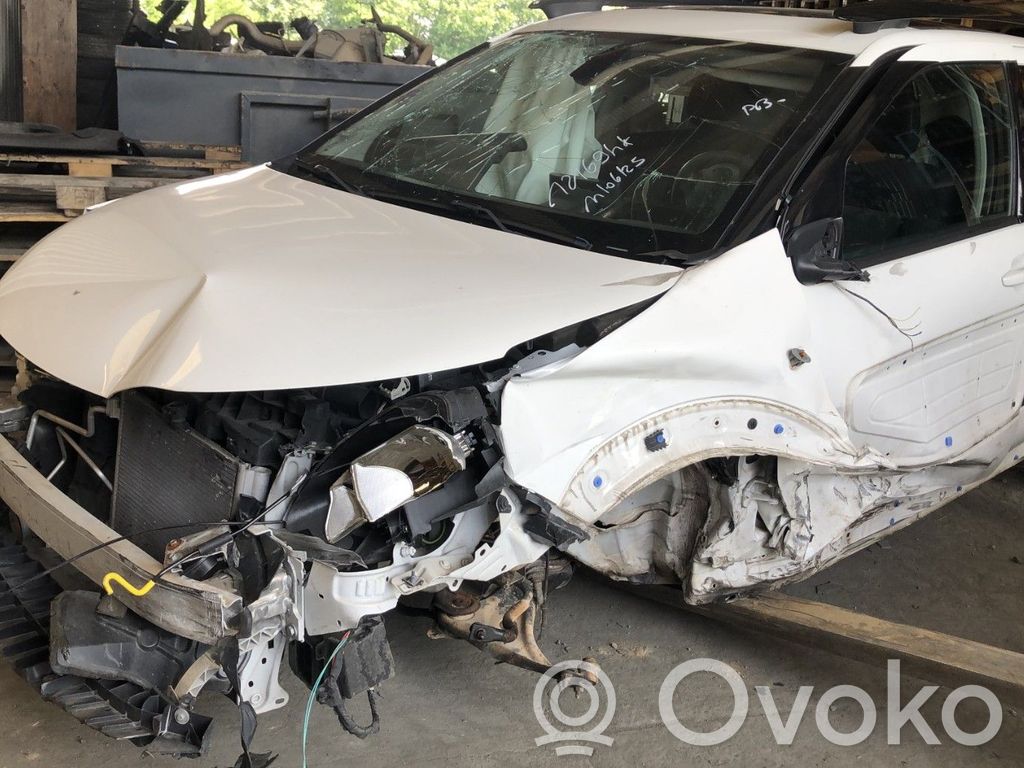 C4 Cactus C4 Picasso, Grand Picasso, Aircross, Cactus  1620373680