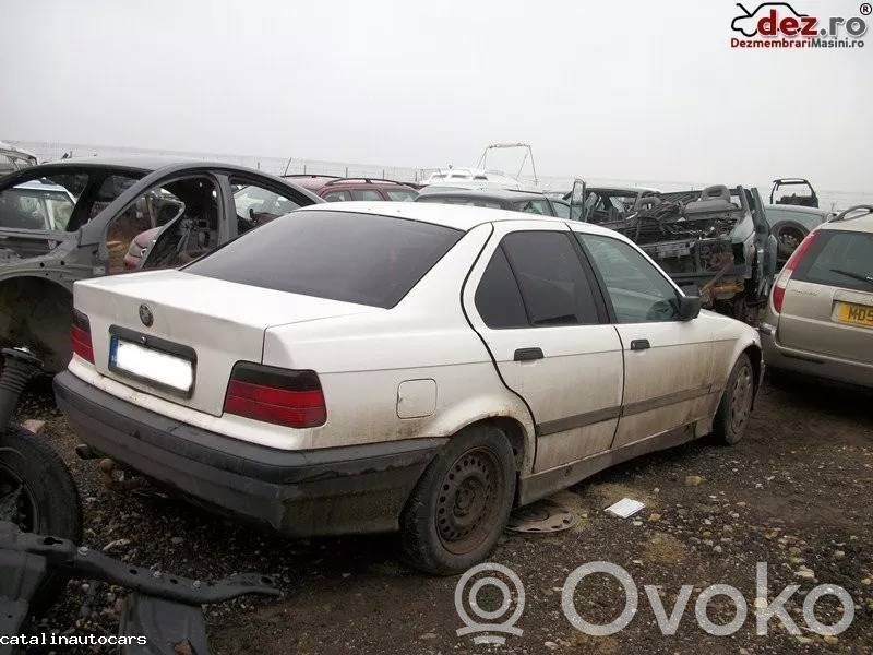 3 E36 Series 3  7786218