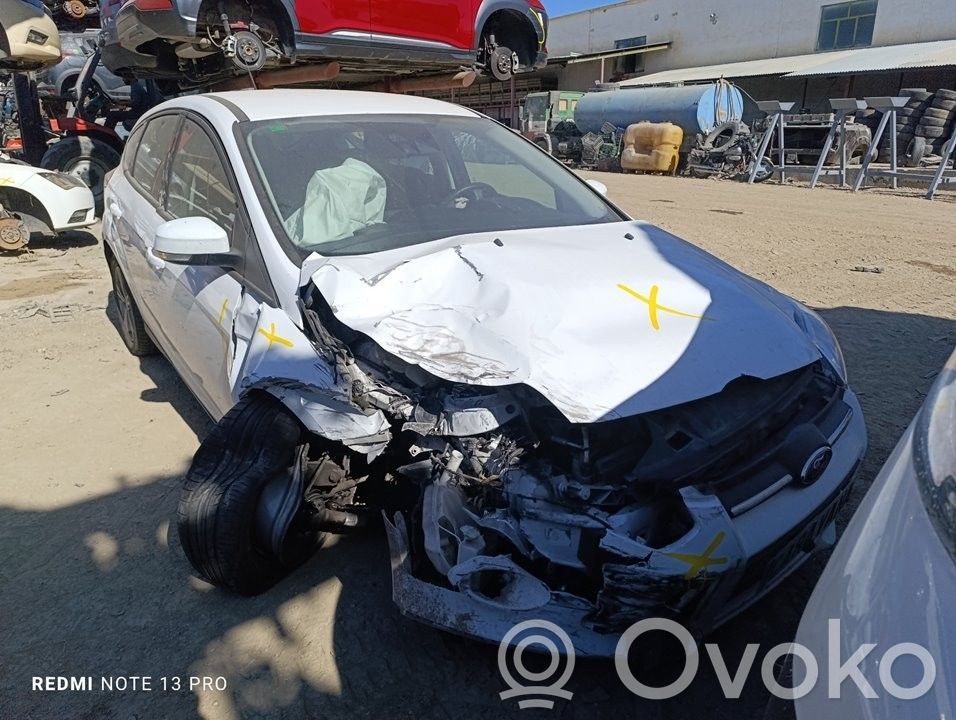 Focus Focus  PBM51A24631BF