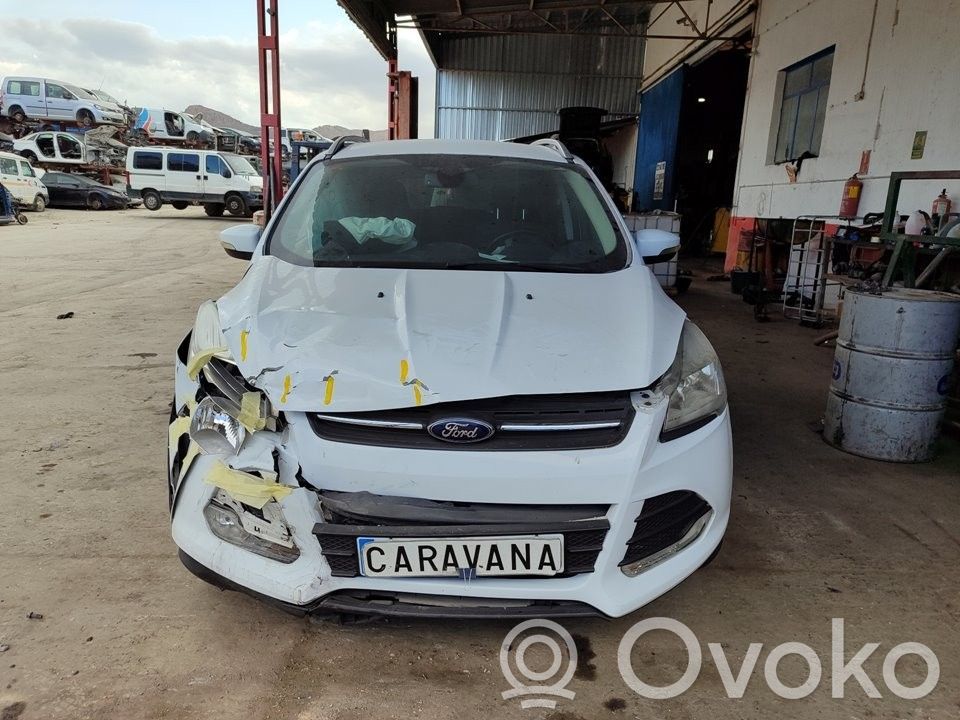 Kuga II Kuga  1837225