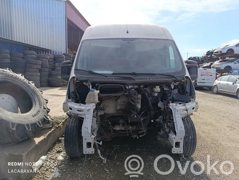 Ducato Ducato  504386684