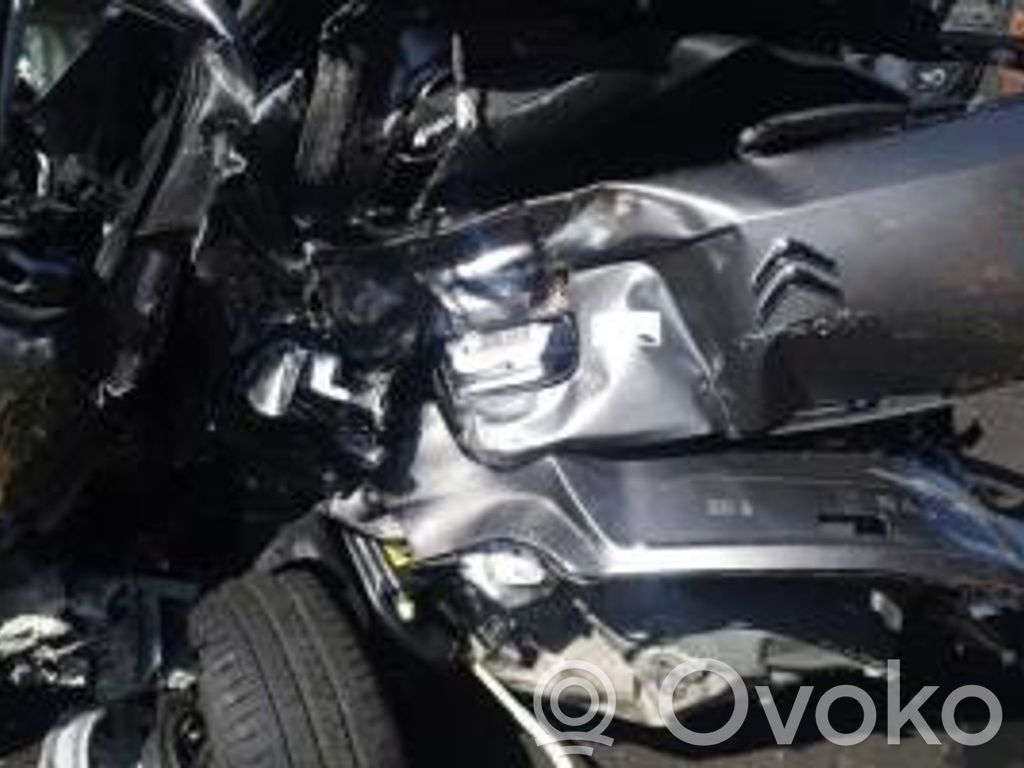 C4 Cactus C4 Picasso, Grand Picasso, Aircross, Cactus  1671206780