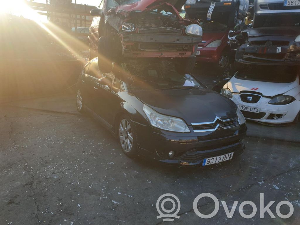 C4 I C4 Picasso, Grand Picasso, Aircross, Cactus  96572391ZD