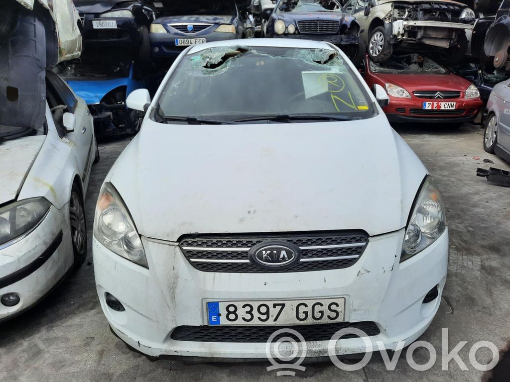 Ceed Ceed, Ceed SW, Pro Ceed  866111H200