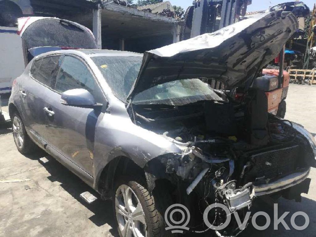 Megane III Megane  648450001R