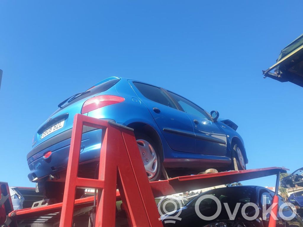 206+ 206, 206+  9648836480