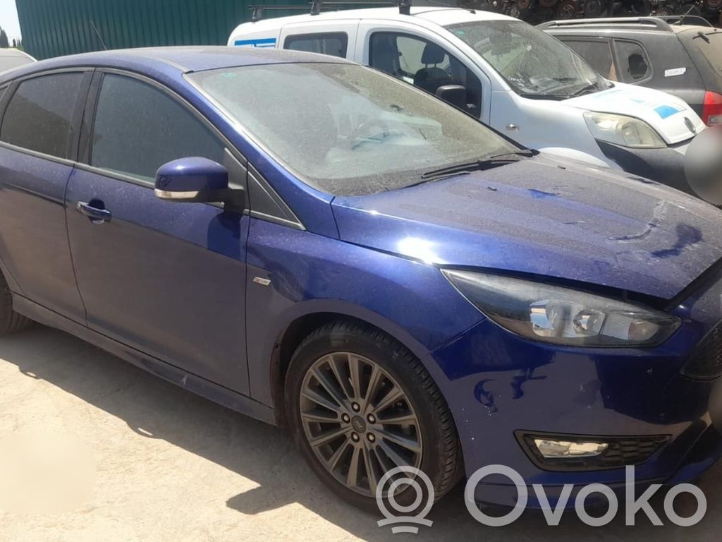 Focus Focus  1926039