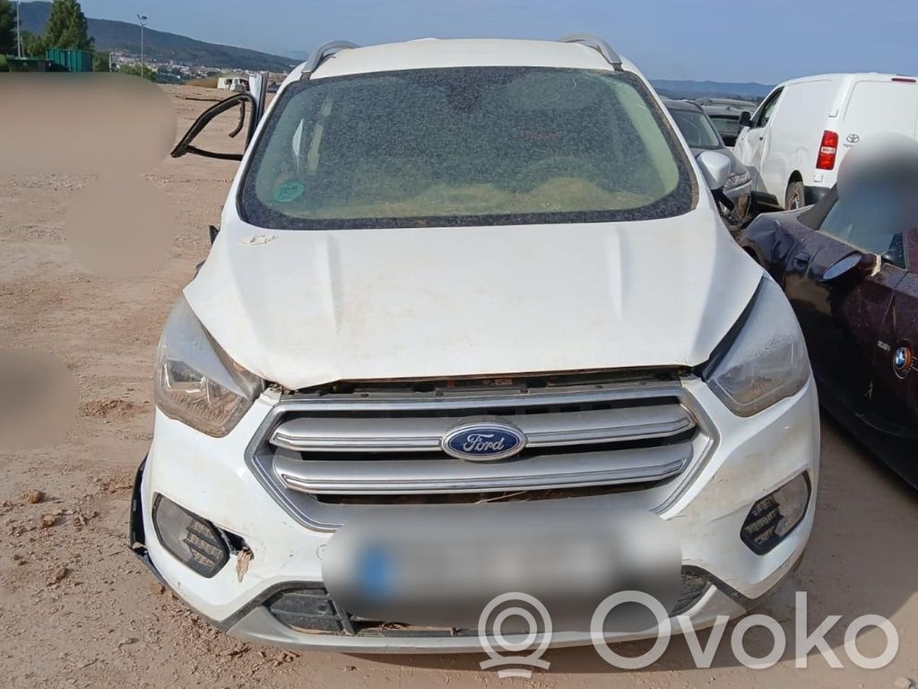 Kuga I Kuga  2383151