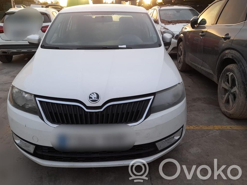 Rapid (NH) Rapid  5JH807421