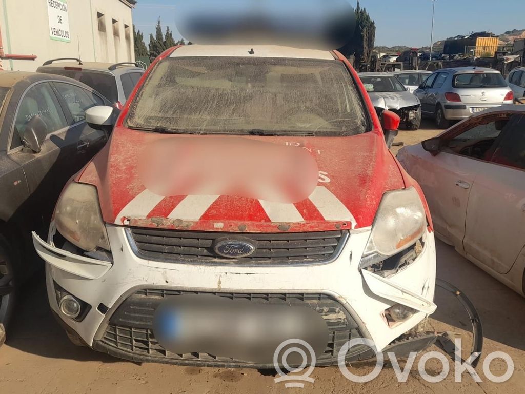 Kuga I Kuga  1594946