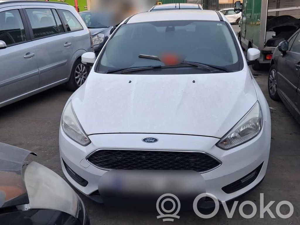 Focus Focus  2060584