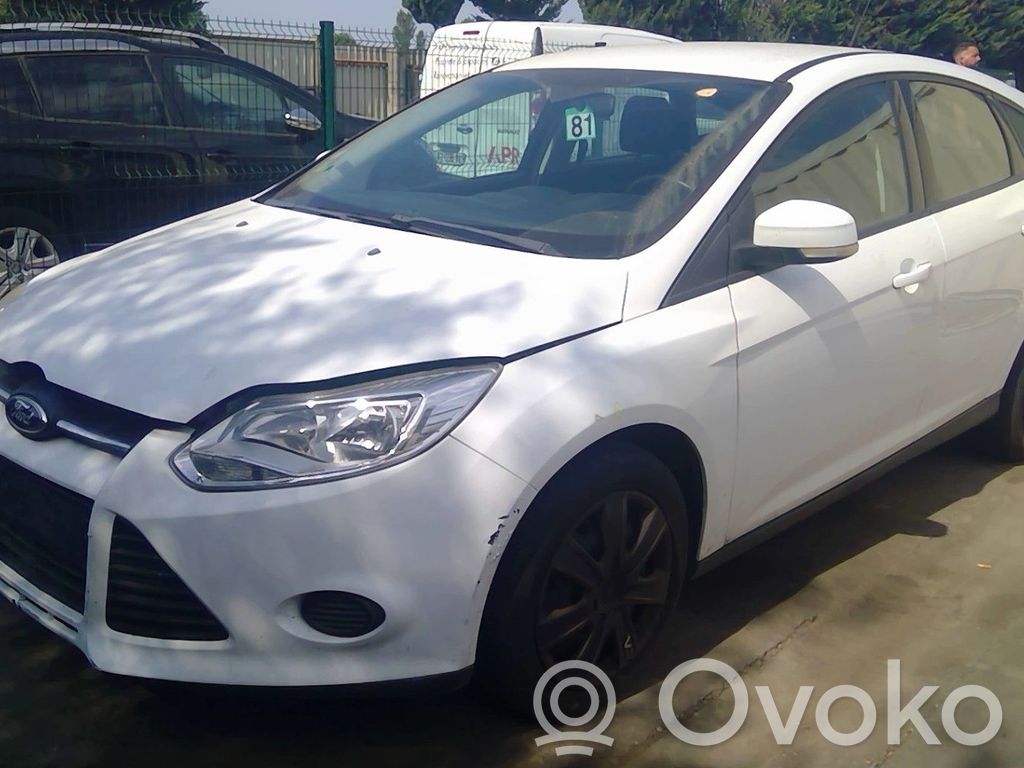 Focus Focus  2147844