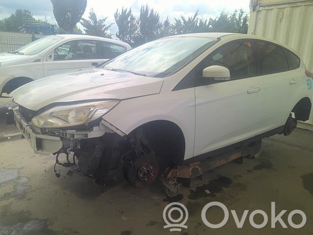 Focus Focus  1851699