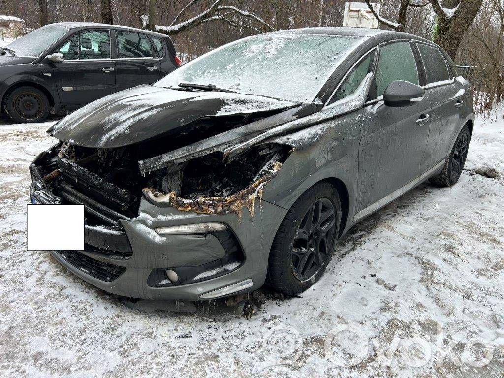 DS5 DS5  10DYZD