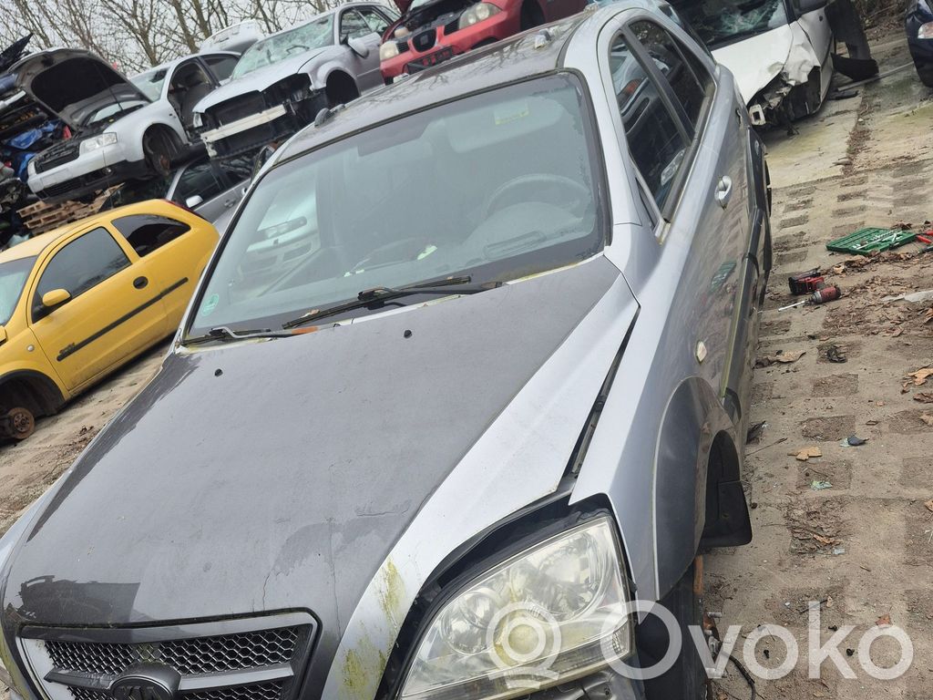 Sorento Sorento  391004A810