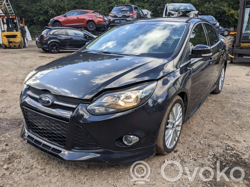 Focus Focus  AV619275BD