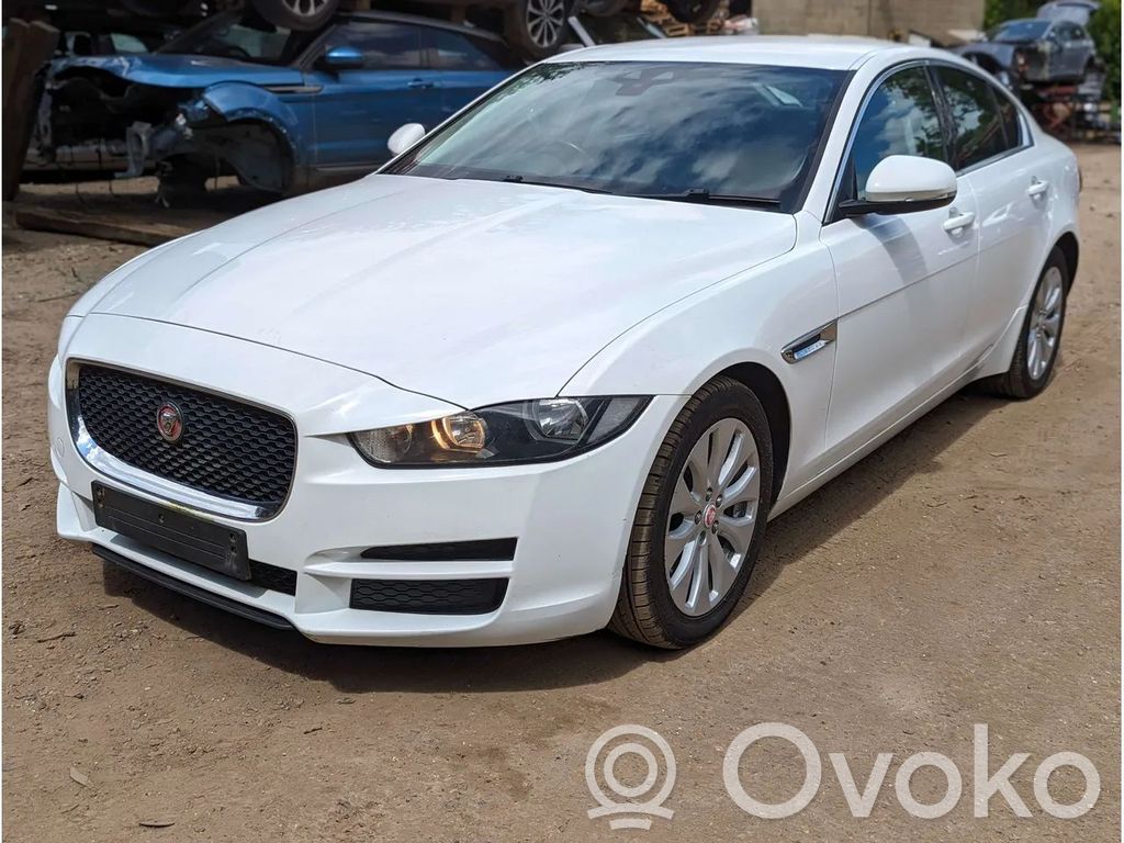 XE XE  629450500