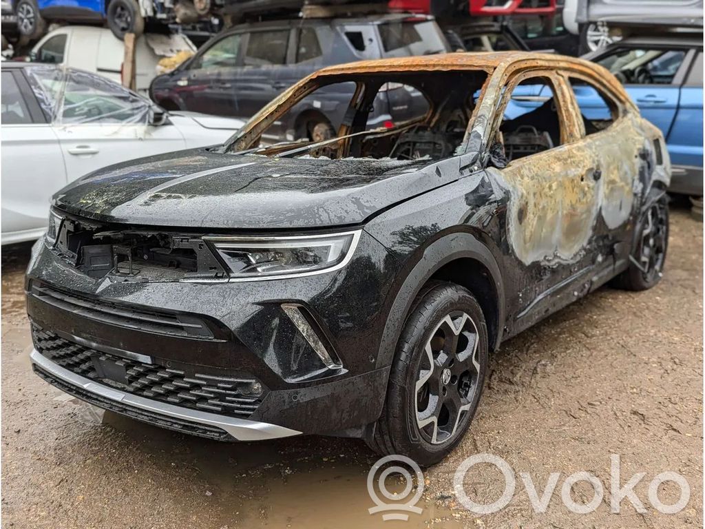 Mokka X Mokka  9831748480